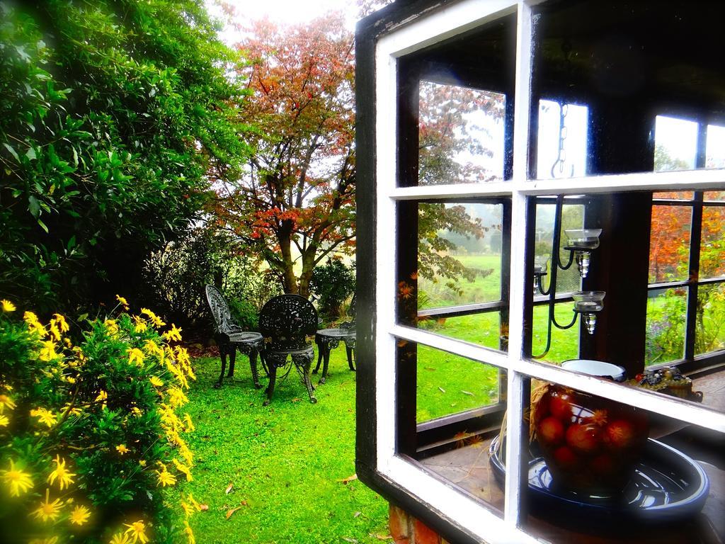 Arden Country House Waitati Екстер'єр фото