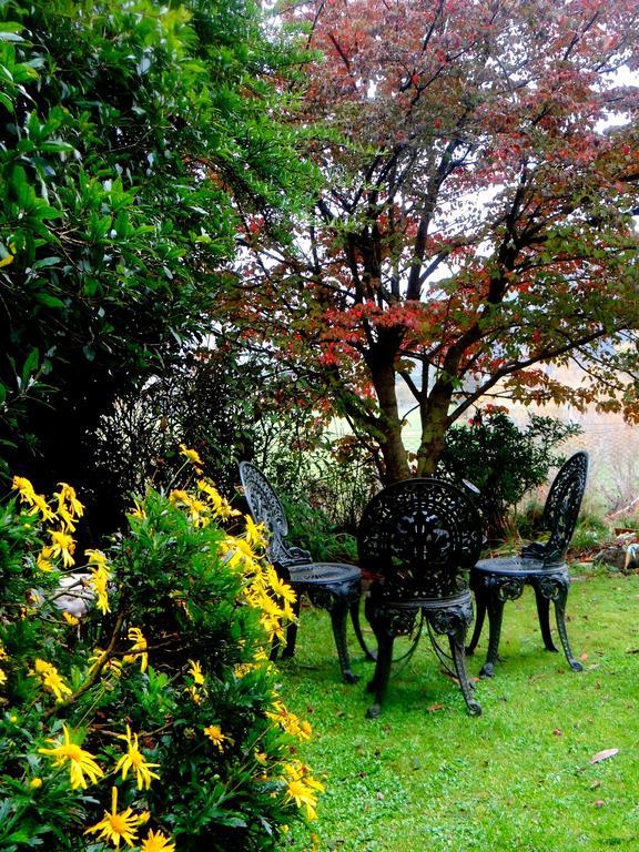 Arden Country House Waitati Екстер'єр фото