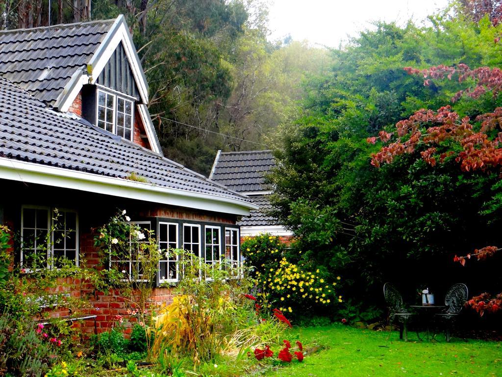 Arden Country House Waitati Екстер'єр фото