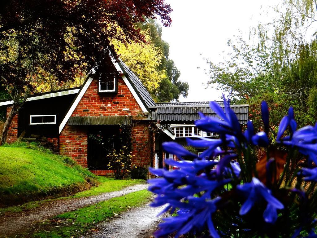 Arden Country House Waitati Екстер'єр фото